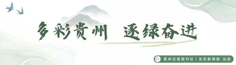 刊头.jpg