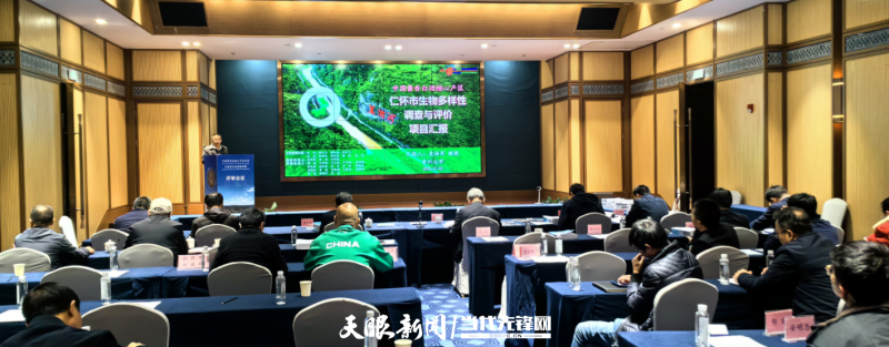 图片2_副本.png