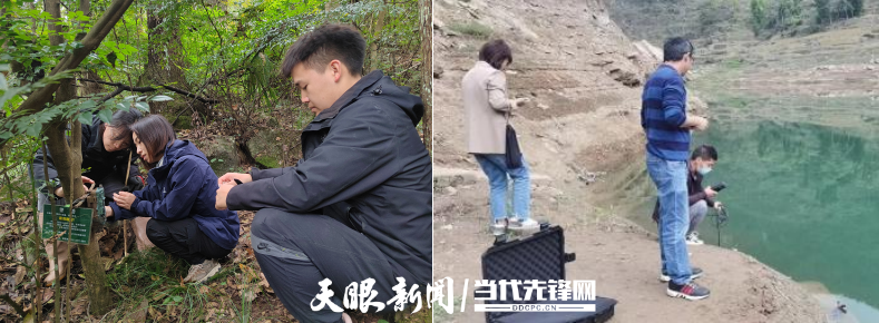 图片3_副本.png