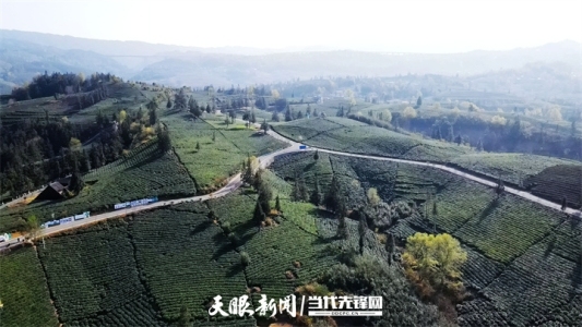 1710078772466724.jpg