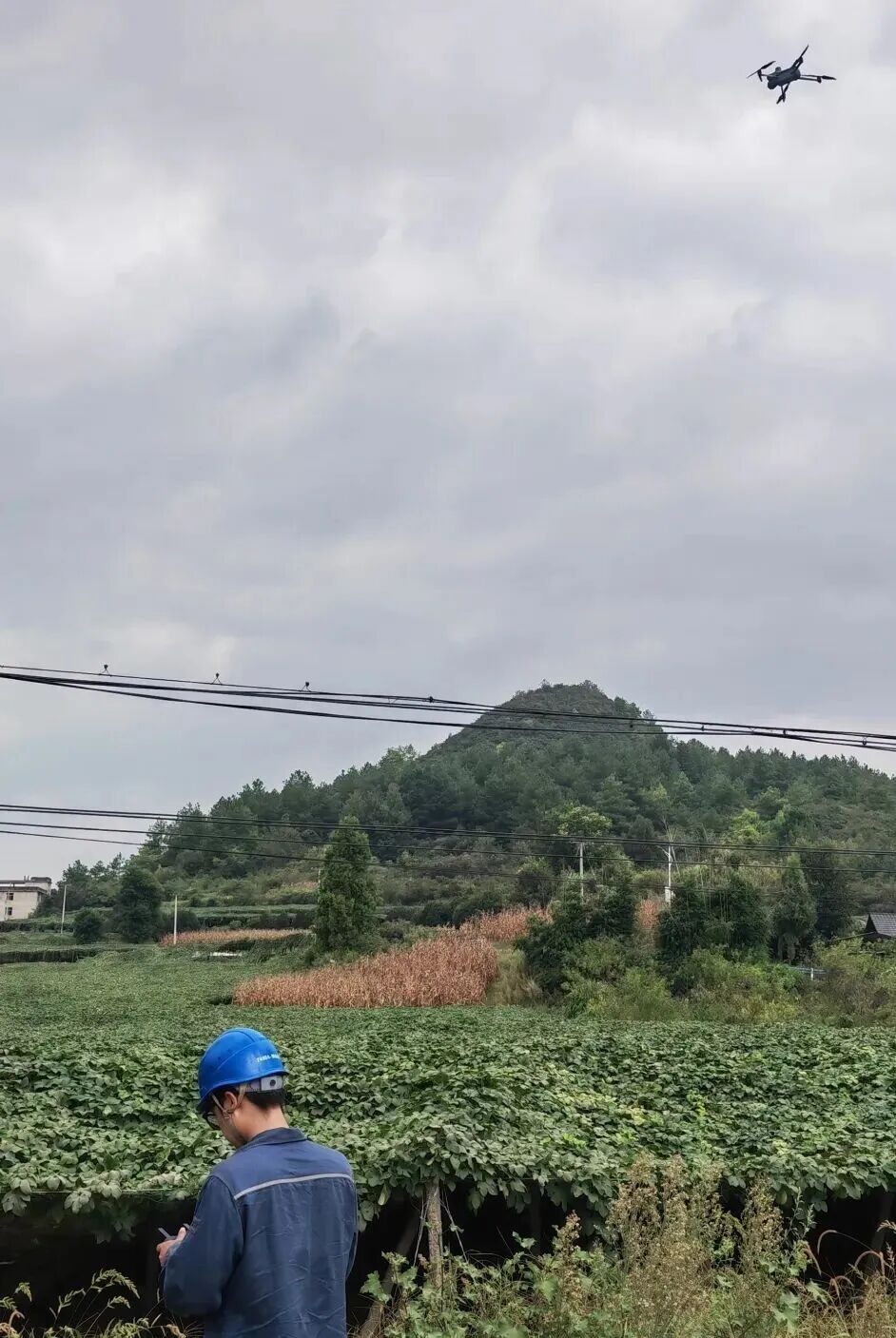 01bc5704f11f6e8fb1fc2f3e0e00c0fa_origin_看图王.jpg