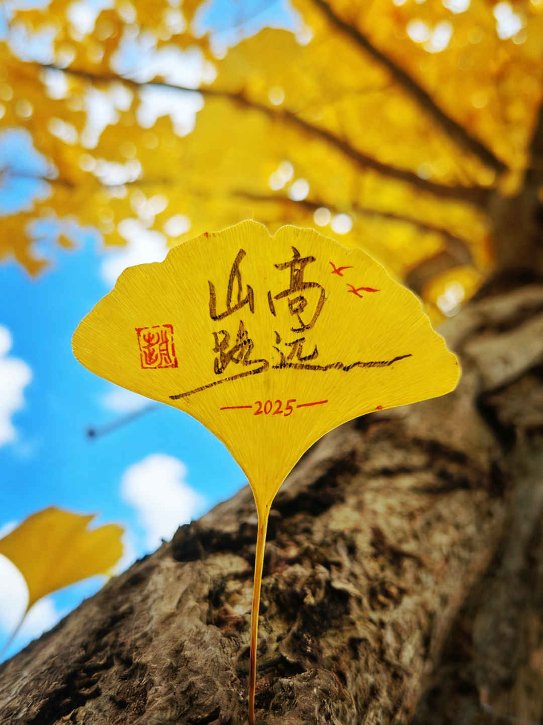 1.赵清锋 山高水远 瓮安县城.png