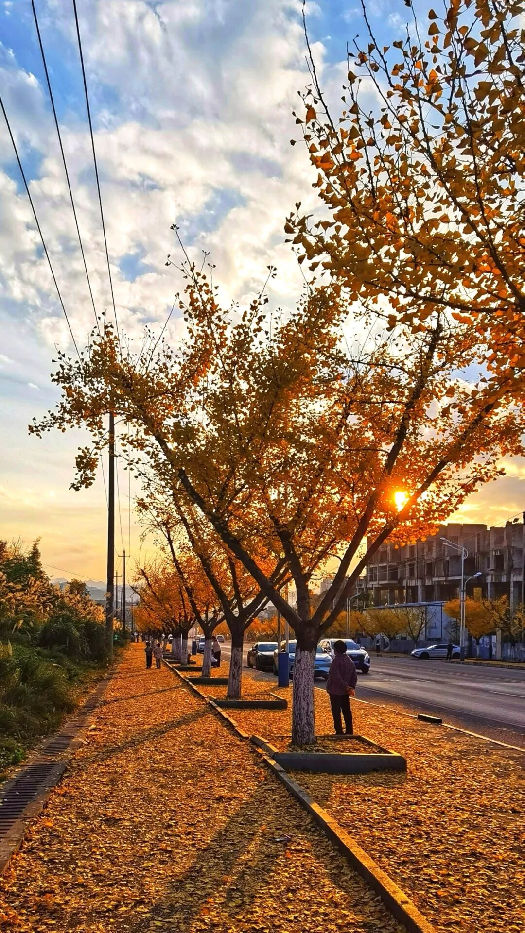 5.鄢安文 工业园区大道.jpg