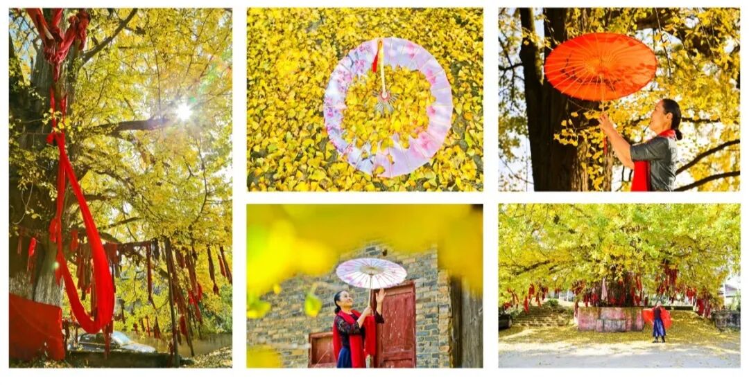 13.马红 瓮安秋韵.jpg