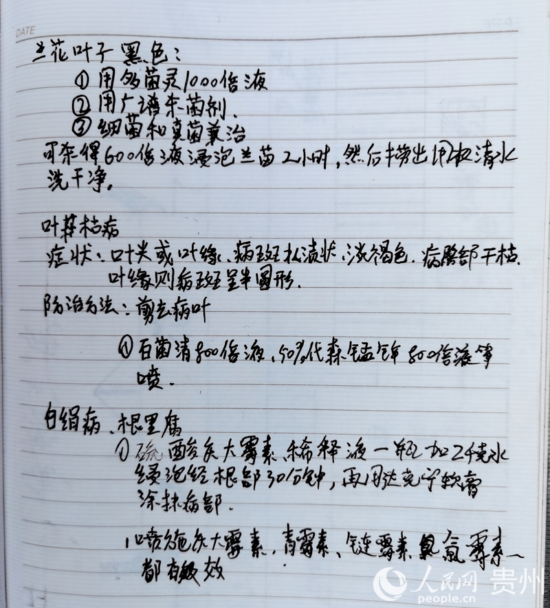 楊華飛的筆記本上，詳細(xì)記錄著蘭花常見的病蟲害和治療方法。人民網(wǎng)記者 王秀芳攝.jpg