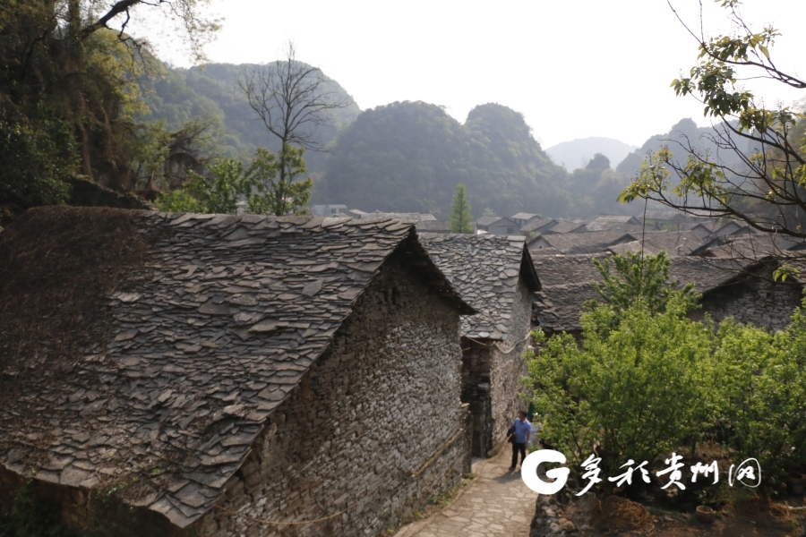 與會嘉賓參觀鎮寧自治縣千年布依古寨——高蕩村