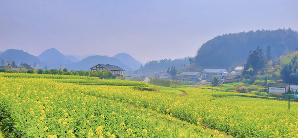 花茂村 來源:播州區文體旅遊局