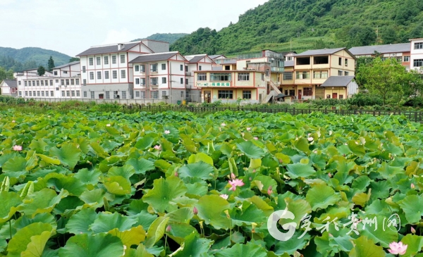 习水县桑木镇避暑旅游新热点群众增收笑开颜