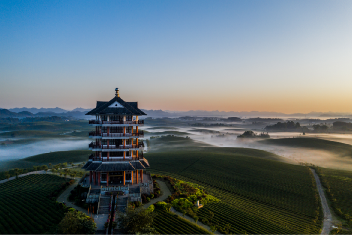 中國茶海圖/湄潭縣文體旅遊局