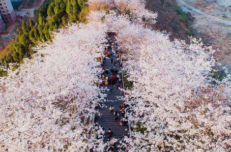 o6kemlp03omuiatalkqyu1on77jg955siclapd2ctiapq8tuusp9hxesalg/640?