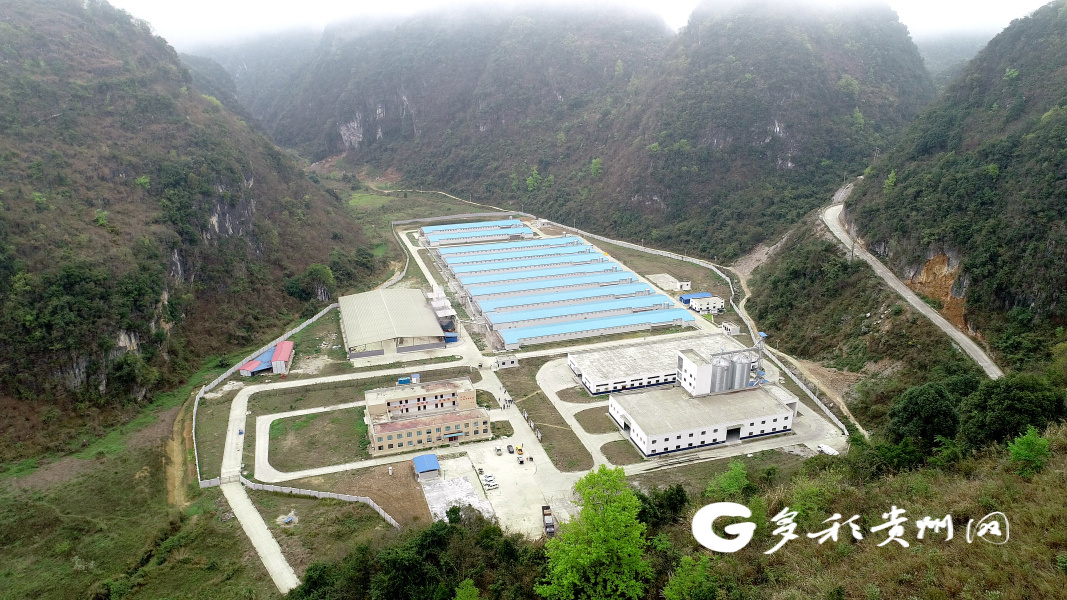 徐炼:数字化治理在望谟可能还是一个起步阶段,让广大群众可