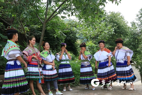 十五年,納雍小花苗服飾的規模化生產之路