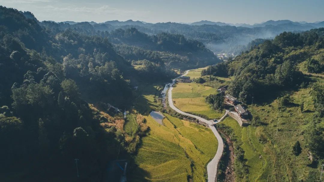 贵州梧桐山图片