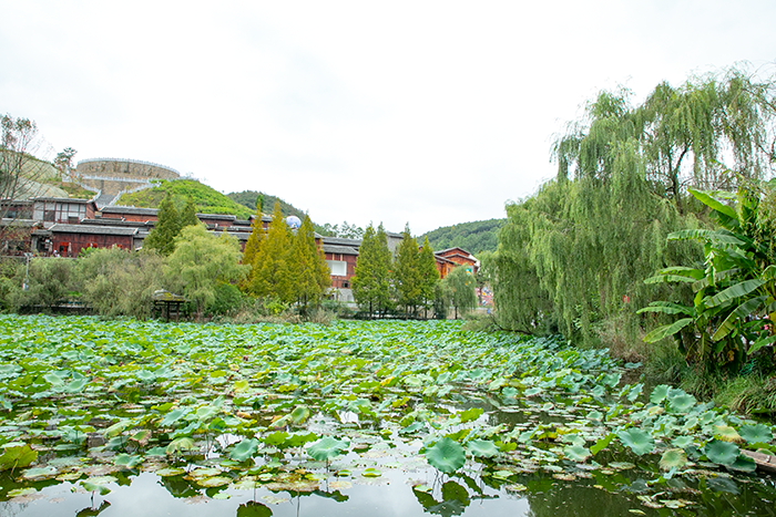 多彩贵州·度假康养胜地 | 秋日田园 处处风景如画