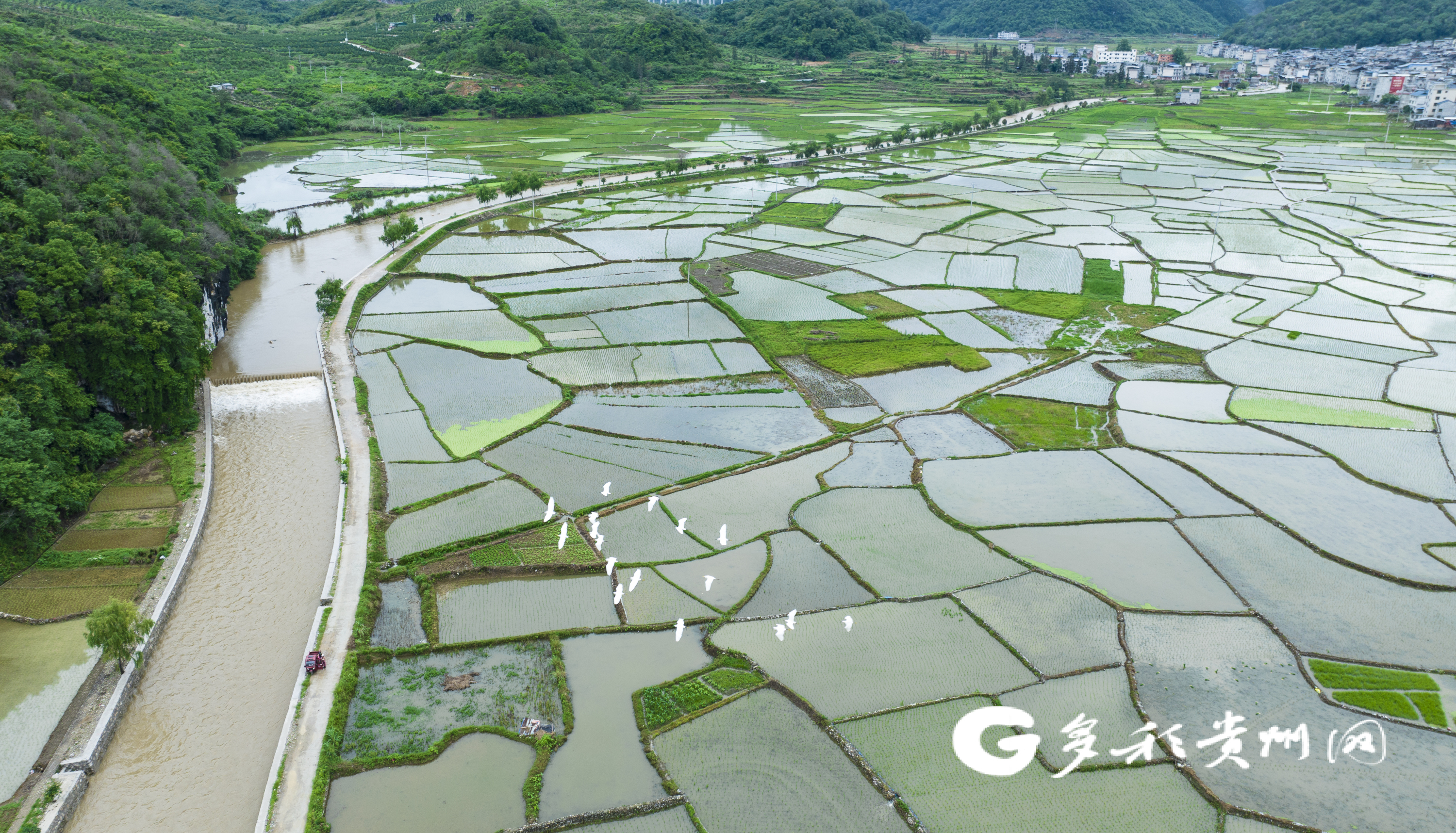 黎平县天气预报